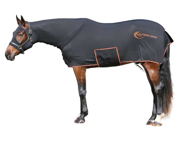 Picture of Full Body Belly Band Slicker